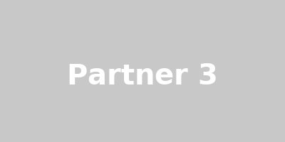 Partner 3
